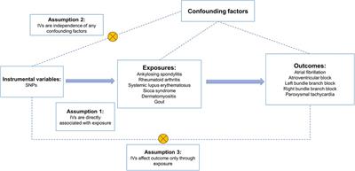 Causal association between common rheumatic diseases and arrhythmia: a Mendelian randomization study